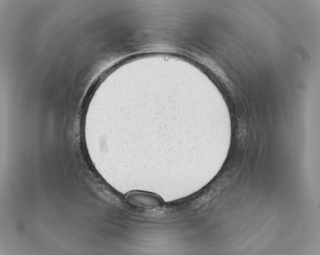 X0000110881364200907301425