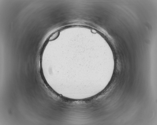 X0000110881368200907301425