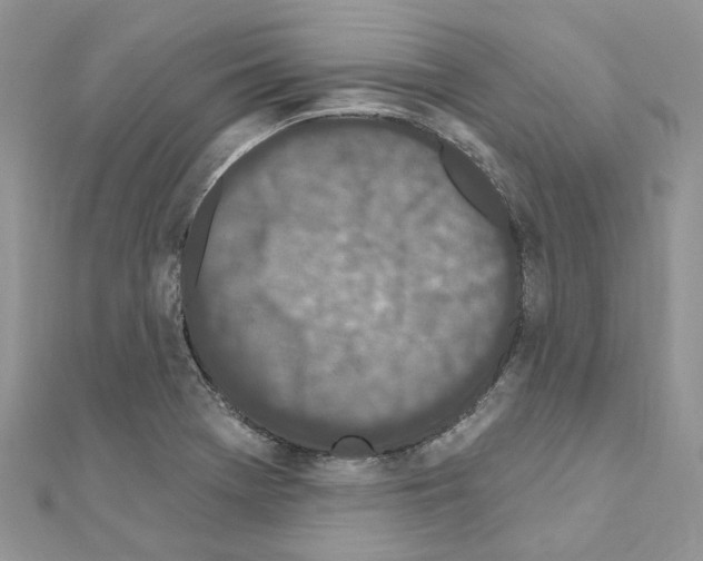 X0000110881369200907301425