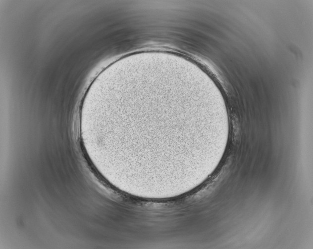 X0000110881371200907301425