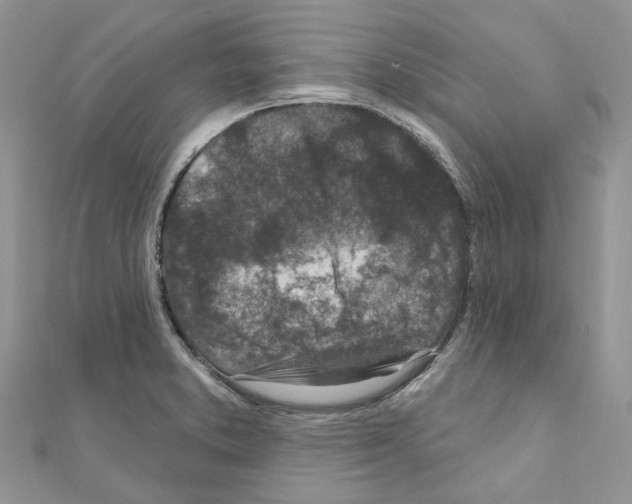 X0000110881373200907301425