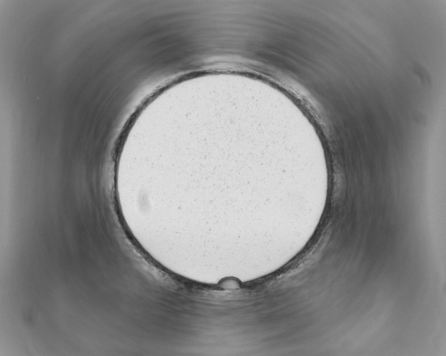 X0000110881376200907301425