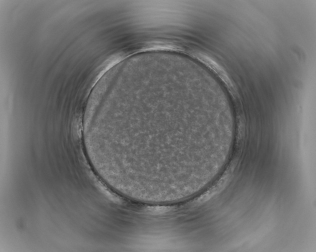 X0000110881377200907301425