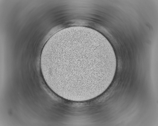 X0000110881378200907301425