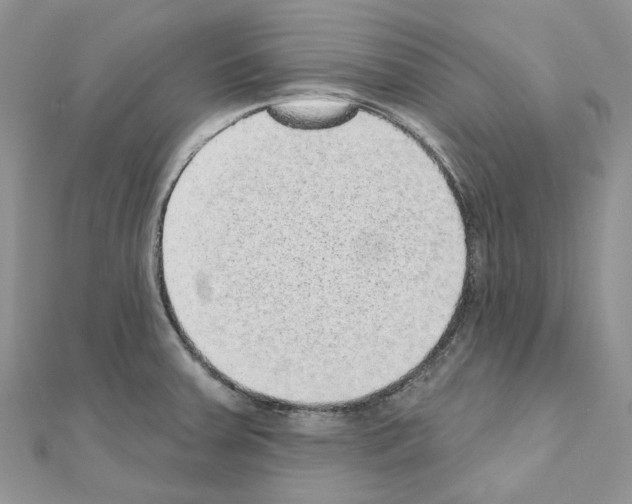 X0000110881379200907301425