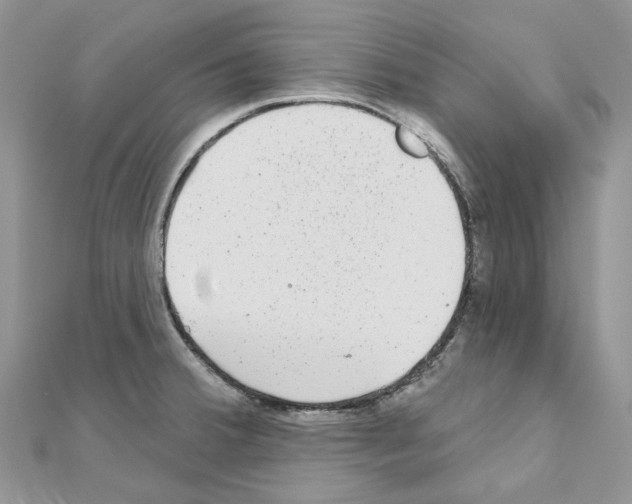 X0000110881380200907301425