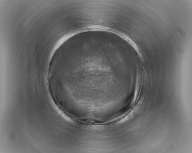 X0000110881381200907301425