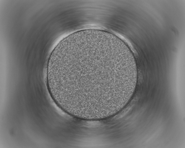 X0000110881383200907301425