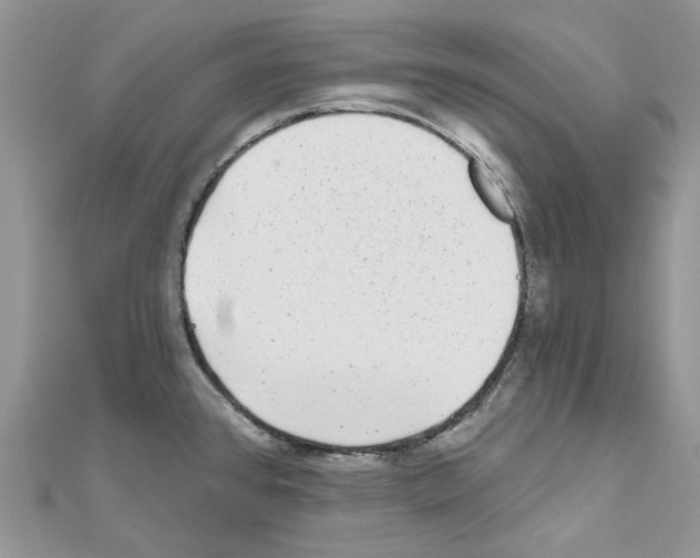 X0000110881384200907301425