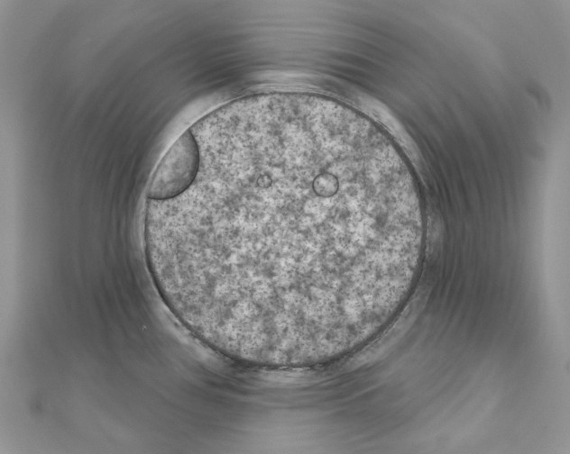 X0000110881386200907301425