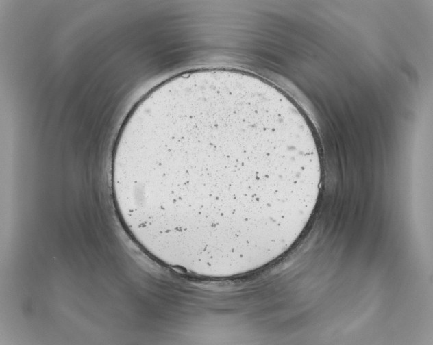 X0000110881388200907301425