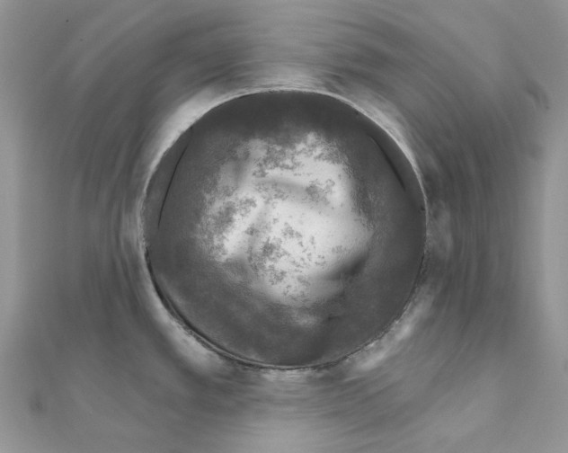 X0000110881389200907301425