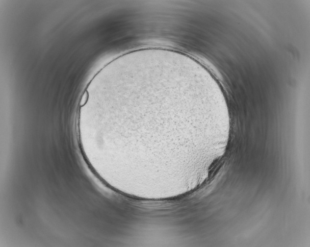 X0000110881391200907301425