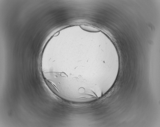 X0000110881392200907301425