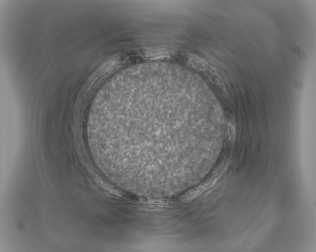 X0000110881393200907301424