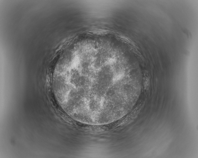 X0000110881397200907301424