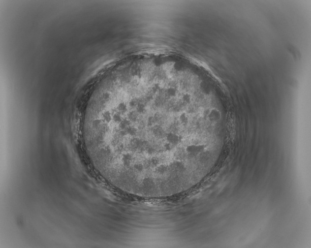 X0000110881399200907301424