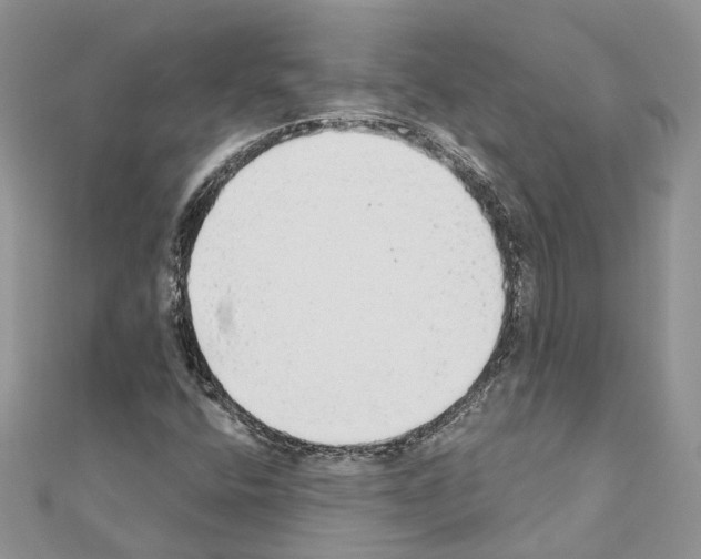 X0000110881400200907301424