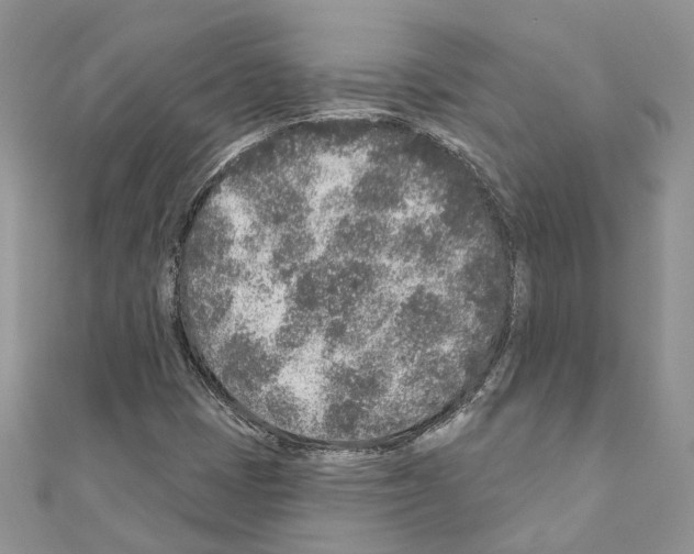 X0000110881401200907301424