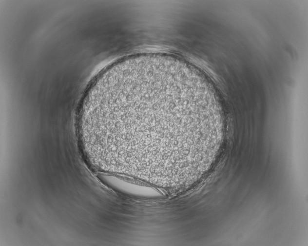 X0000110881404200907301424