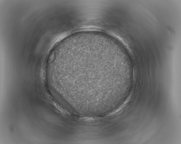 X0000110881405200907301424