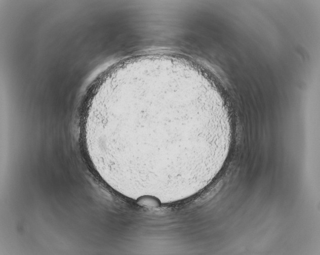 X0000110881406200907301424