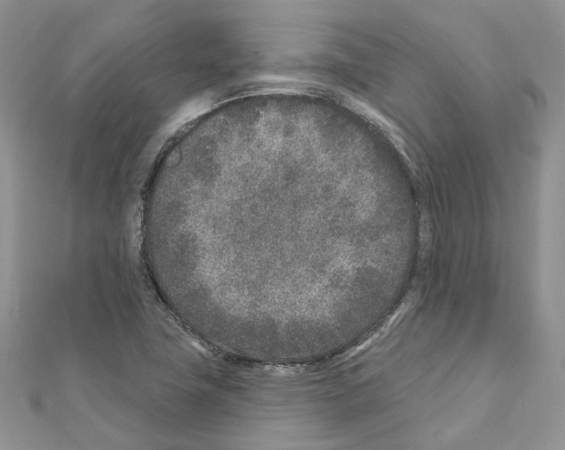 X0000110881411200907301424