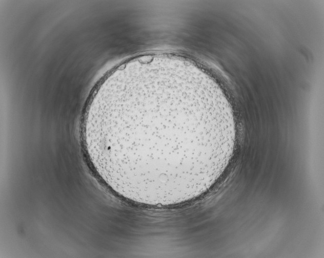 X0000110881412200907301424