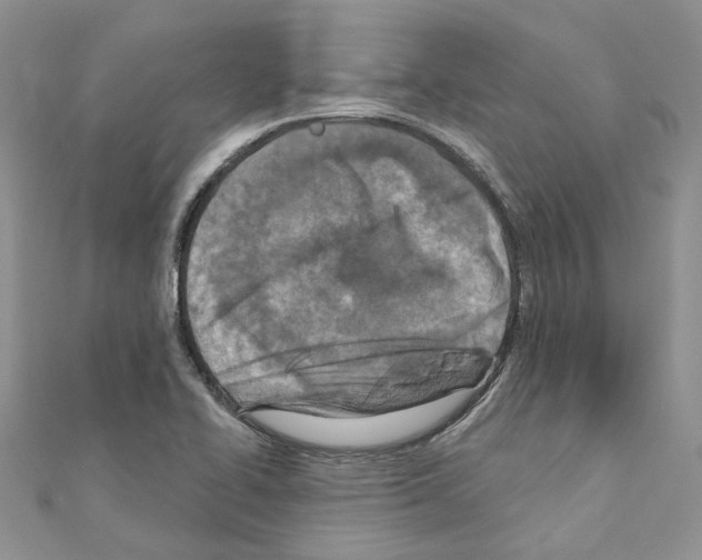 X0000110881414200907301424