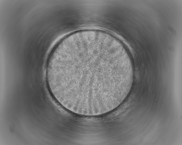 X0000110881416200907301424