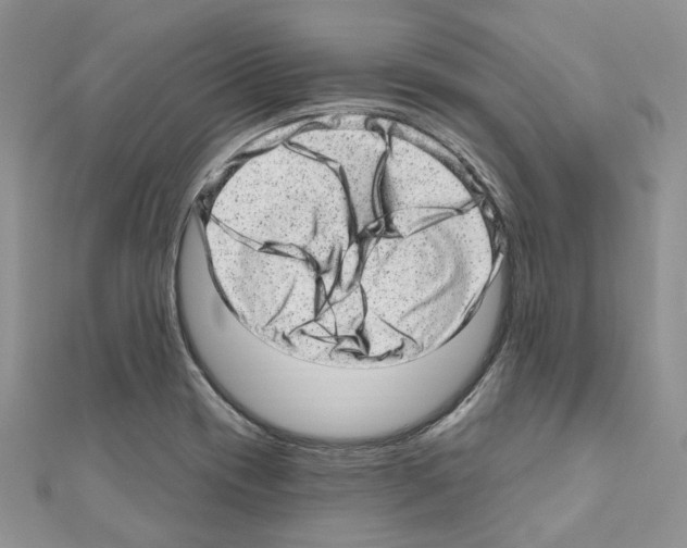 X0000110881417200907301424