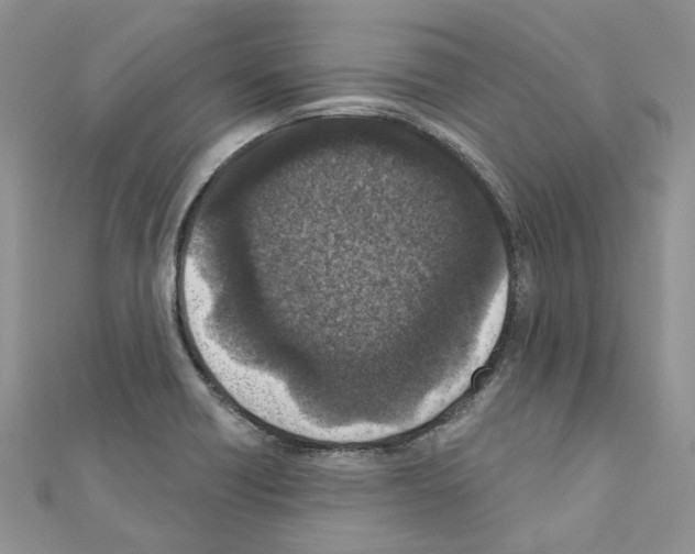 X0000110881418200907301424