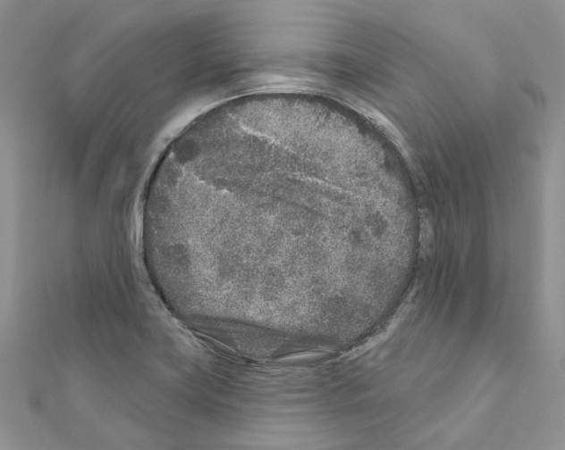 X0000110881419200907301424