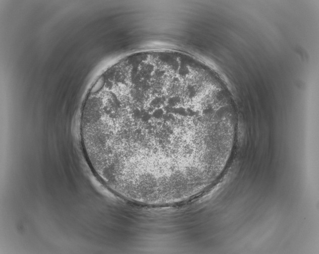 X0000110881421200907301424