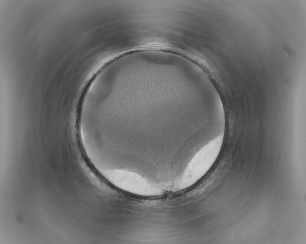 X0000110881422200907301424