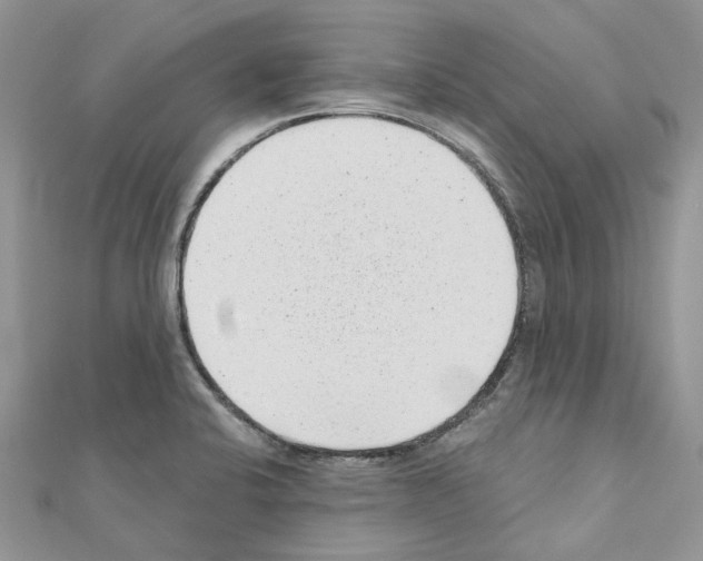 X0000110881424200907301424