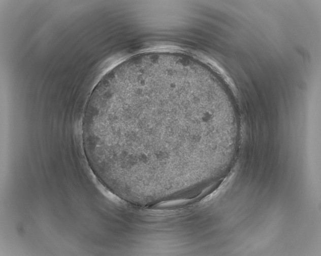 X0000110881425200907301424