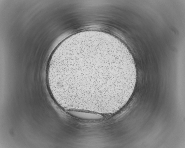 X0000110881426200907301425