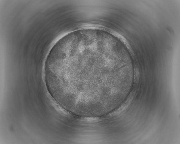 X0000110881427200907301425