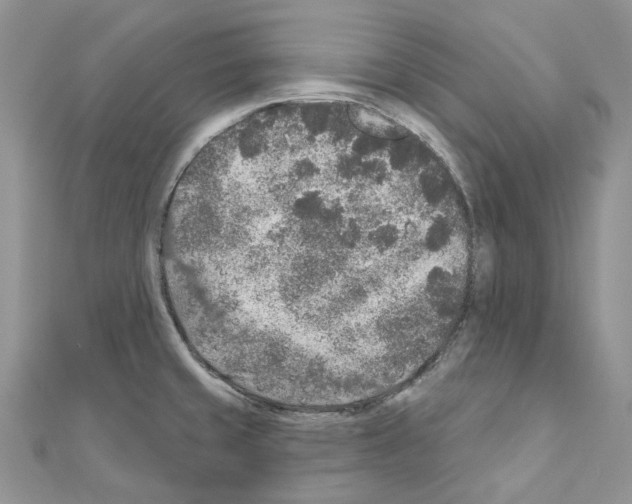 X0000110881429200907301425