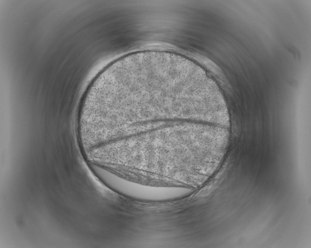 X0000110881430200907301425