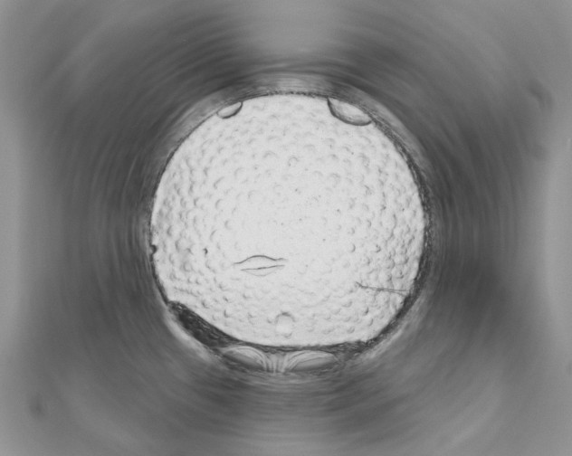 X0000110881433200907301425