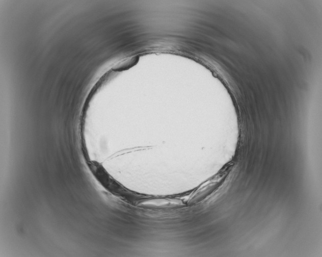 X0000110881434200907301425