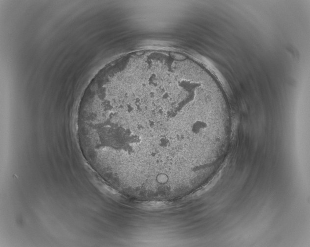 X0000110881435200907301425