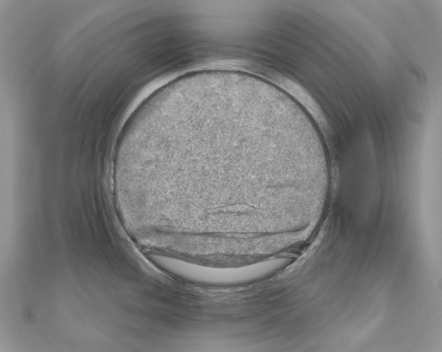 X0000110881436200907301425