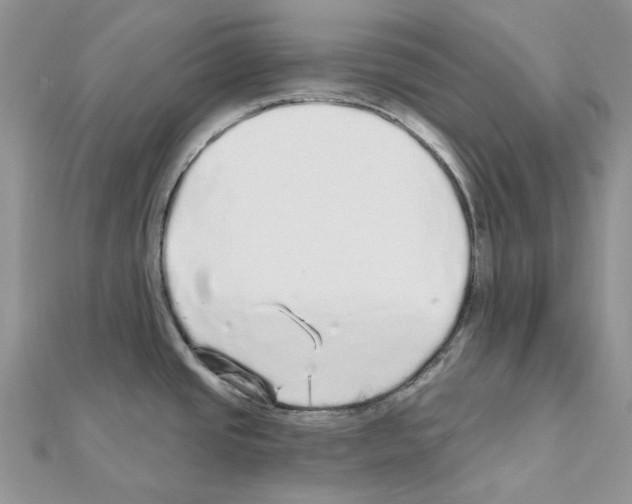 X0000110881437200907301425