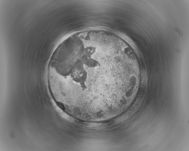 X0000110881439200907301425