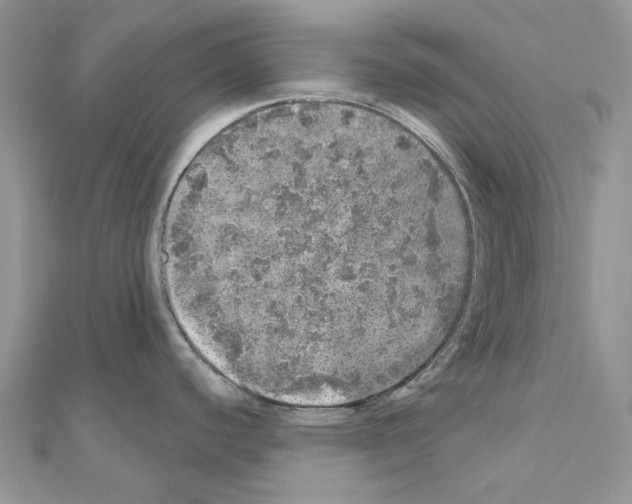 X0000110881440200907301425