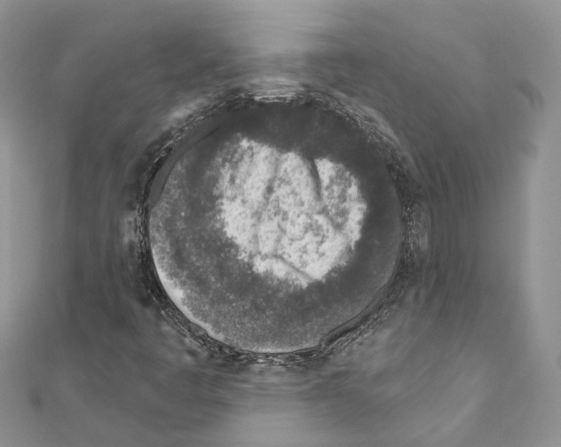 X0000110881445200907301424