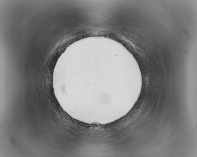 X0000110881447200907301424